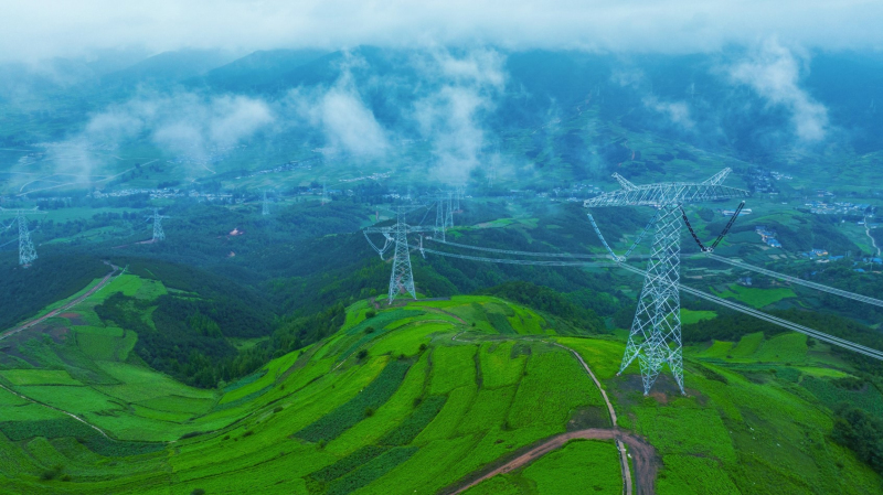 國家電網(wǎng)與東方電氣集團(tuán)舉行會(huì)談